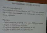 1573309578841.png
