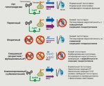 виды гипогонадизма.JPG